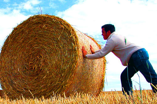 Kraftakt für die Umwelt: Schon zum achten Mal in Folge konnte die Freie Universität ihren Energieverbrauch reduzieren