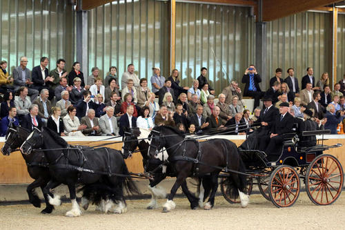 Bei der feierlichen Eröffnung des Pferdezentrums in der Reithalle fuhren auch Vierspänner vor.