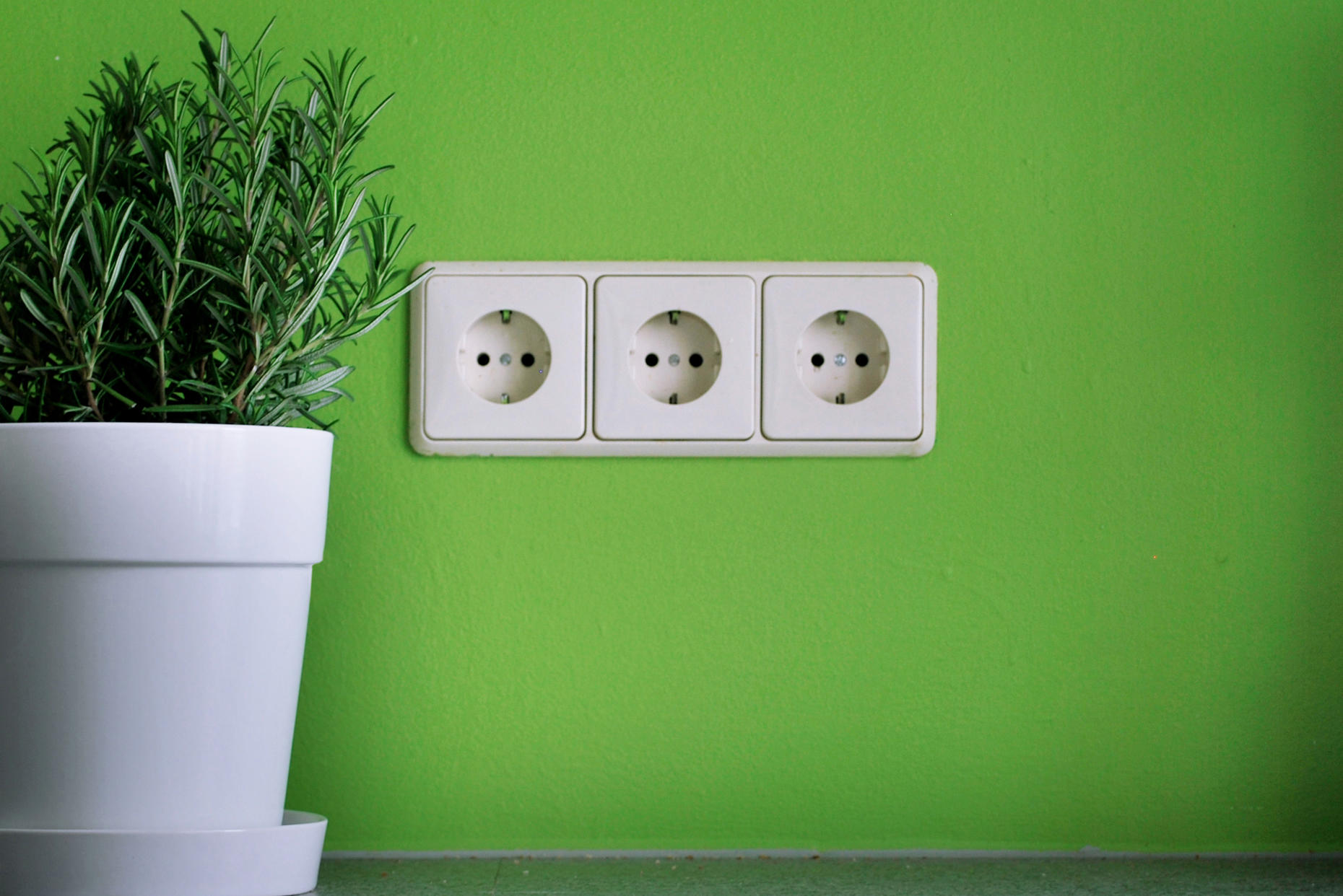 Pflanzen statt Plastikdeko: Dies ist nur eine von vielen Ideen, die noch bis Oktober für den geplanten Leitfaden gesammelt werden. Das Ziel der Initiative: Ressourcen schonen.