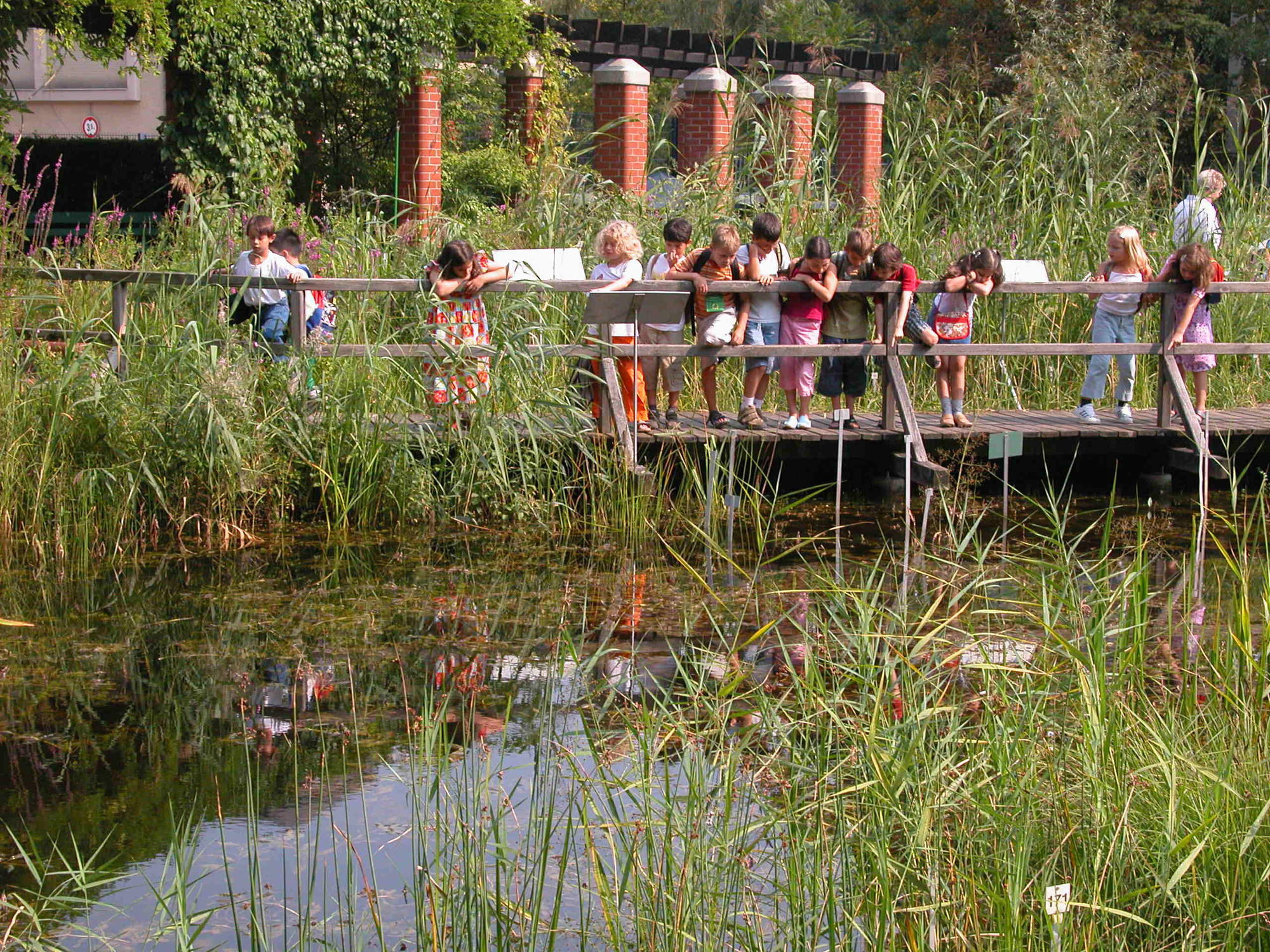 sumpf_und_wassergarten_main