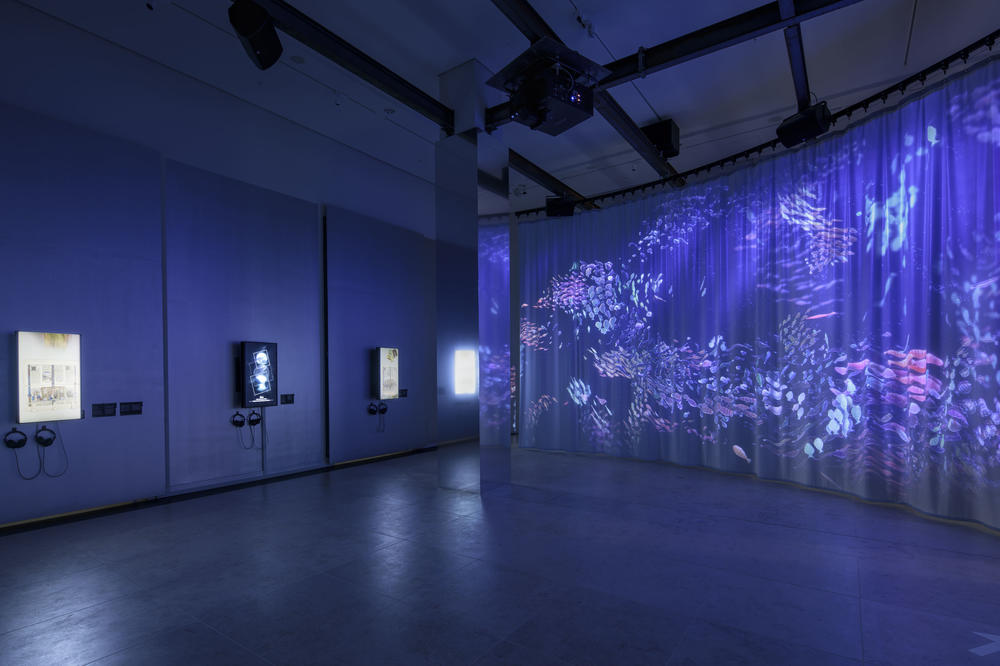 Von Schwärmen lernen: Die interaktive Projektion am Eingang steht auch für die Zusammenarbeit in großen Forschungsverbünden. Auf den Bildschirmen im Foyer des Humboldt Labors präsentieren sich die sieben Berliner Exzellenzcluster.