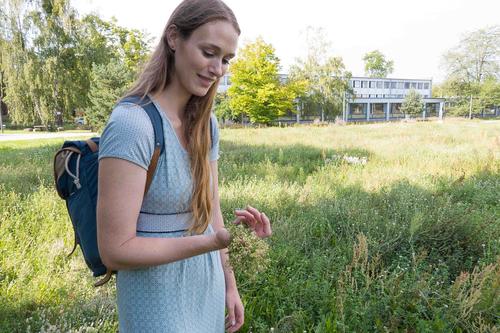 Rebecca Rongstock inspiziert eine Blühfläche: Auf insgesamt etwa zehn Hektar sind teils sehr unterschiedliche, artenreiche Blühflächen entstanden. Hier wird 1-2 Mal im Jahr mit einem insektenfreundlichem Balkenmäher gemäht.