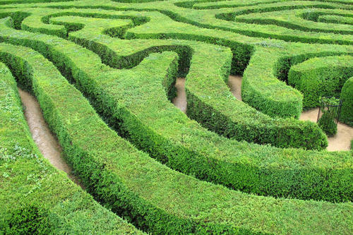 Wie frei sind Wissenschaftler in ihrer Forschung, welche Wege stehen ihnen offen? Mit diesen grundsätzlichen Fragen beschäftigten sich die 155 Teilnehmer der Tagung "Planning Research for the Future"? an der Freien Universität.