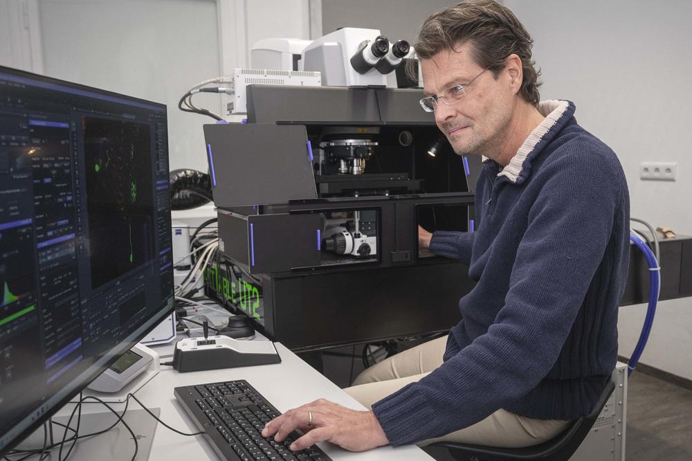 Robin Hiesinger am Multi-Photonen-Mikroskop – beim Blick in das Hirn einer lebenden Fliege.