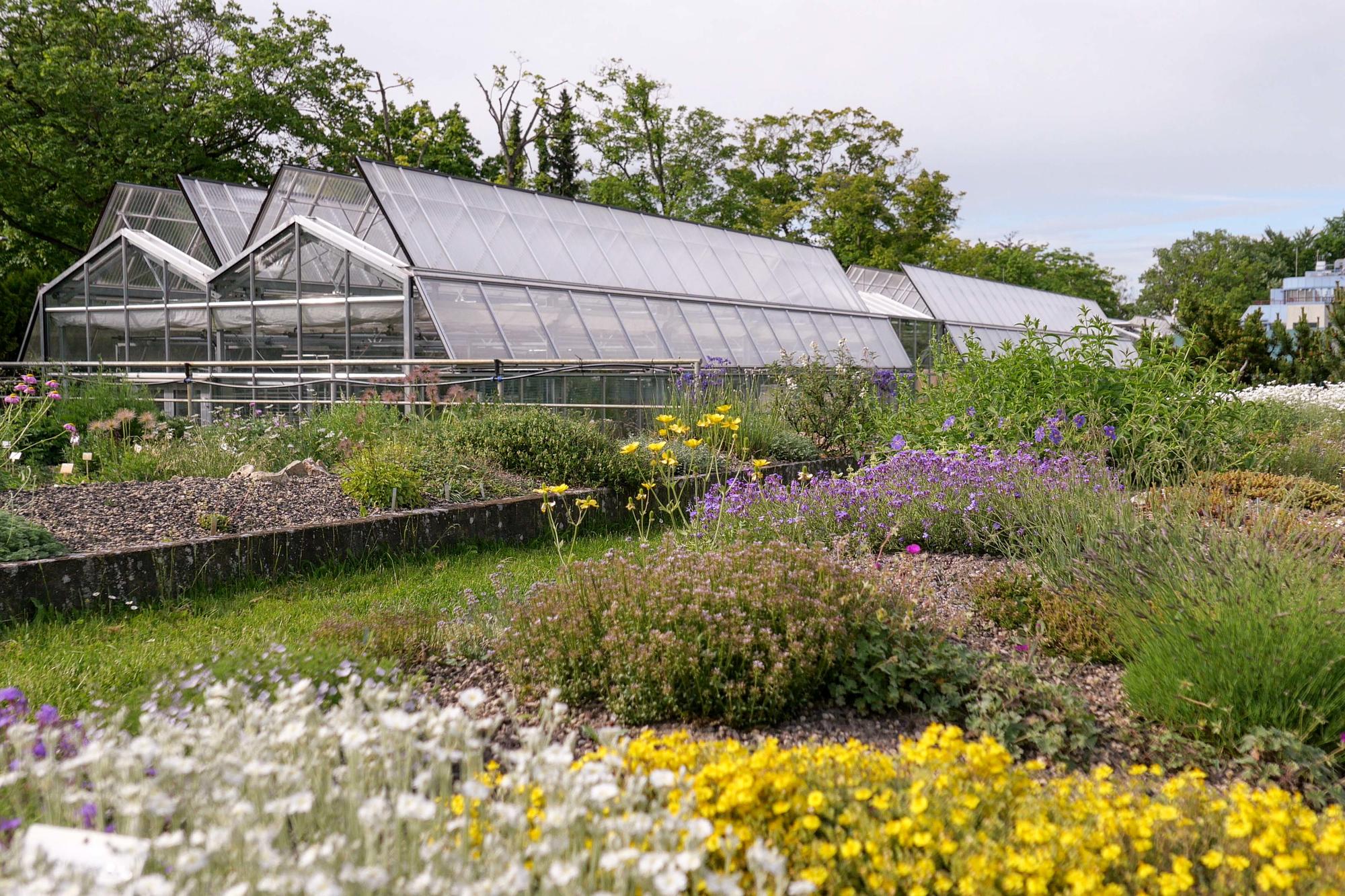 Spaß an körperlicher Arbeit, ein Grundverständnis für die Natur und Lernfähigkeit solle man für die dreijährige Ausbildung zur Gärtnerin mitbringen, empfiehlt Annika Cory.