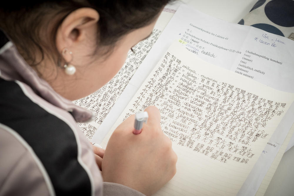 Das Institut für Chinastudien an der FU Berlin zählt zu den größten wissenschaftlichen Zentren der Chinaforschung in Deutschland.