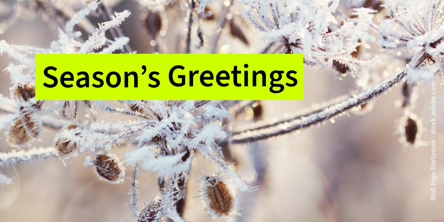 Wishing you a relaxing holiday season and a peaceful, healthy, and successful 2026!