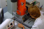 Using an electron microscope to investigate specimens