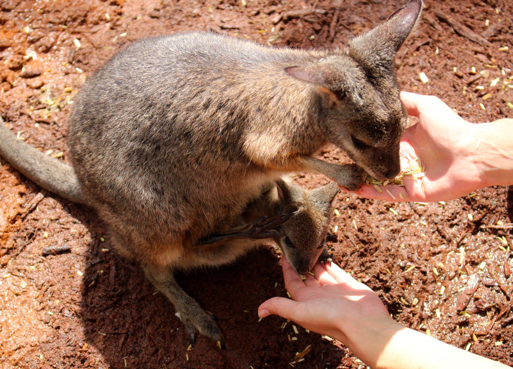 .. and sometimes they were very trusting.