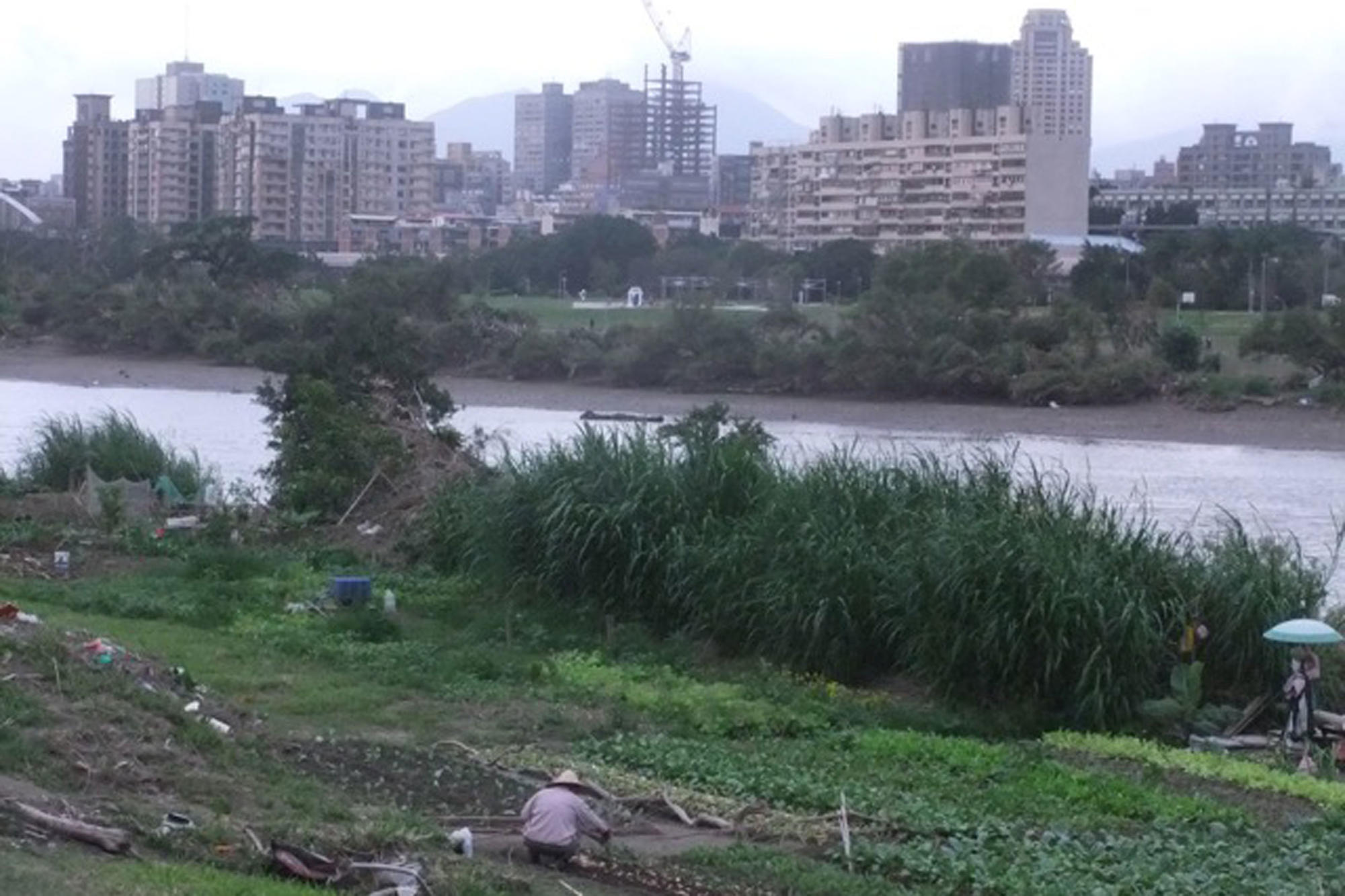 The bike paths along the Tamsui River are popular destinations.