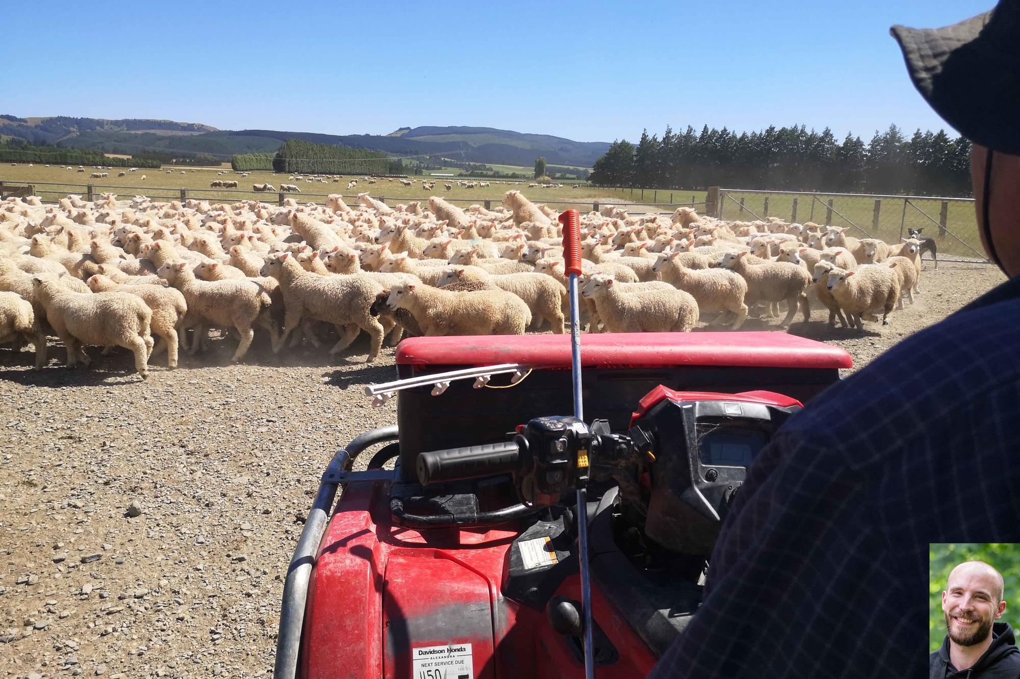 For Thomas Conrad, a student of veterinary medicine, it was: study in Düppel - internship in New Zealand.