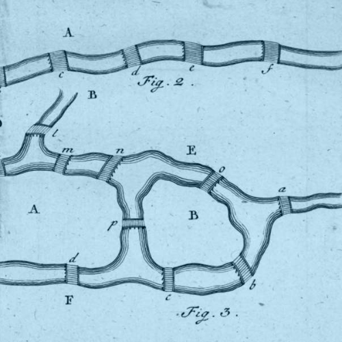 Königsberg Brücken
