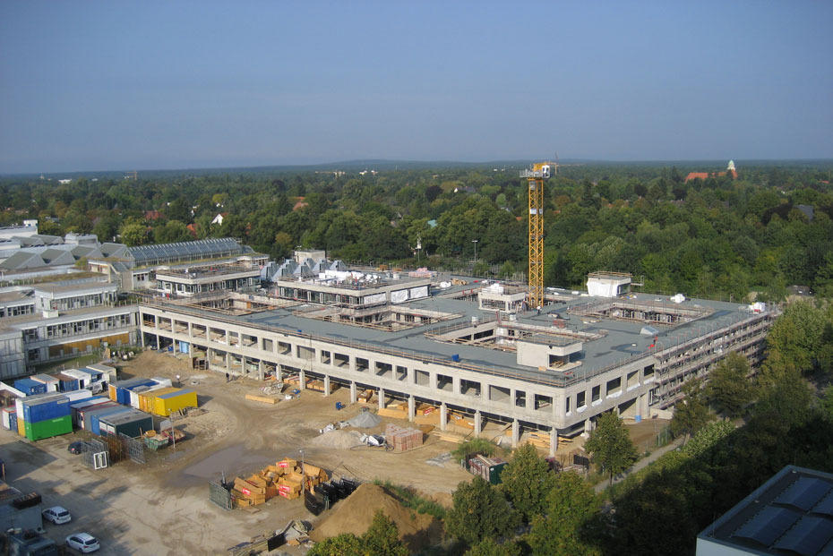 Construction of the "Wooden Arbor"