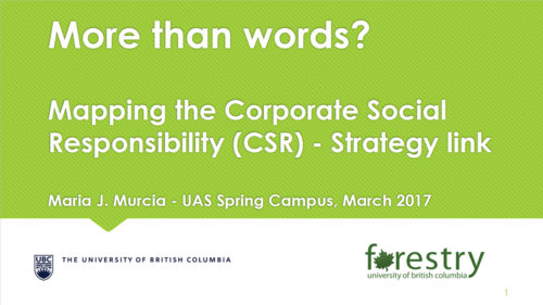 UAS Spring Campus 2017_Murcia