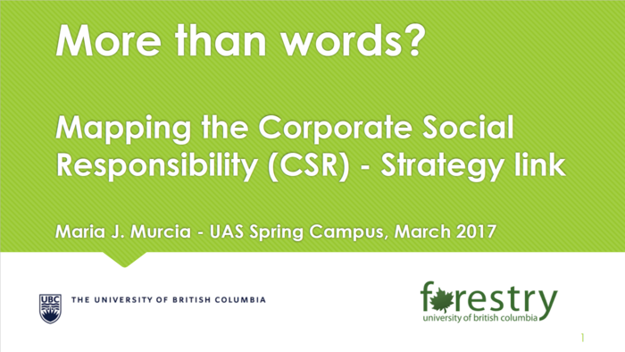 UAS Spring Campus 2017_Murcia