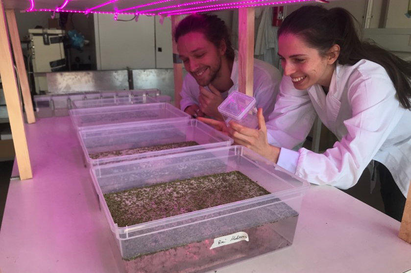 X-Tutorial „Living Technology“, Freie Universität Berlin