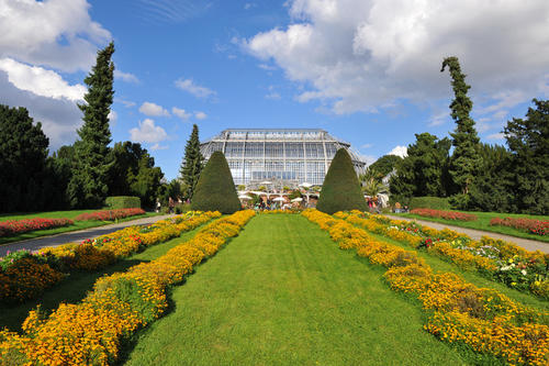 Die Sanierung des Tropenhauses des Botanischen Gartens der Freien Universität senkte dessen Energieverbrauch um die Hälfte.