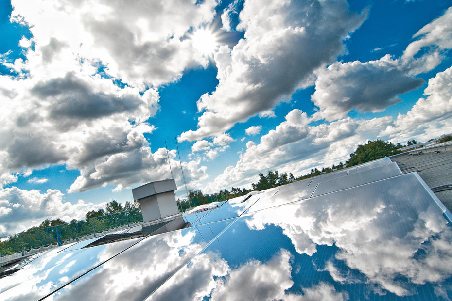 Die Zukunft lebenswert gestalten: Wie die Freie Universität das Leitbild der Nachhaltigkeit in Forschung und Lehre verankert