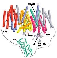 Membranoberfl&auml;che