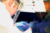 Mit molekularbiologischen Analysemethoden können das Erbgut der Zellen (DNA) und die Angriffsorte (Targets) für die Therapie von Krankheiten identifiziert werden.