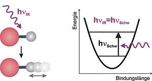 Schematische Darstellung einer Infrarotlaseranregung einer O(rot)-H(grau) Streckschwingung 