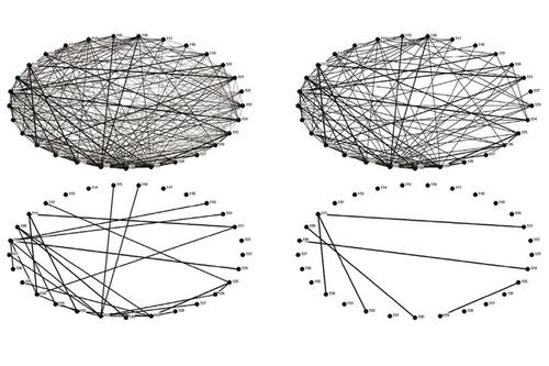 Abb.1: Beziehungsstruktur der Teilnehmer des ersten Weiterbildungsdurchgangs in kreisförmiger Darstellung (circle view).