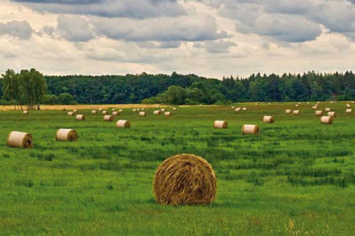 Der Agrarökonom und Wirtschaftswissenschaftler Johann Heinrich von Thünen hatte die Gegend des heutigen Mecklenburg-Vorpommern vor Augen, als er seine Gedanken zur Flächennutzung in der Landwirtschaft entwickelte.