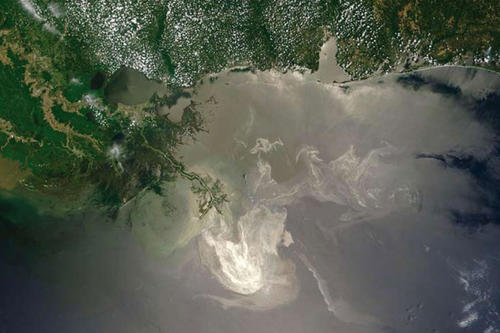 Die Suche nach Öl führte bei Bohrungen im Golf von Mexiko zu einer der größten Umweltkatastrophen der Welt.