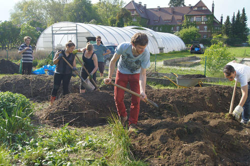 Um möglichst viele Studierende zu erreichen, setzt SUSTAIN IT! auch auf unkonventionelle Formen der Vermittlung, etwa beim Projekt UniGardening. Hier werden Nutzpflanzen nach Permakultur-Prinzipien angepflanzt.