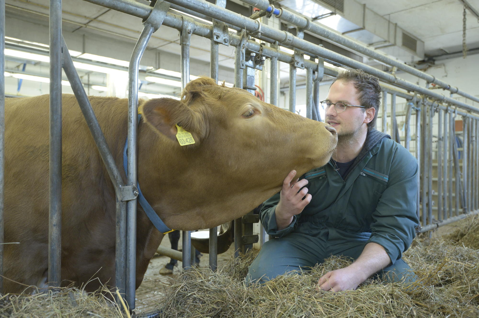 Landliebe: Peter Venjakob arbeitet als Tierarzt und promoviert.