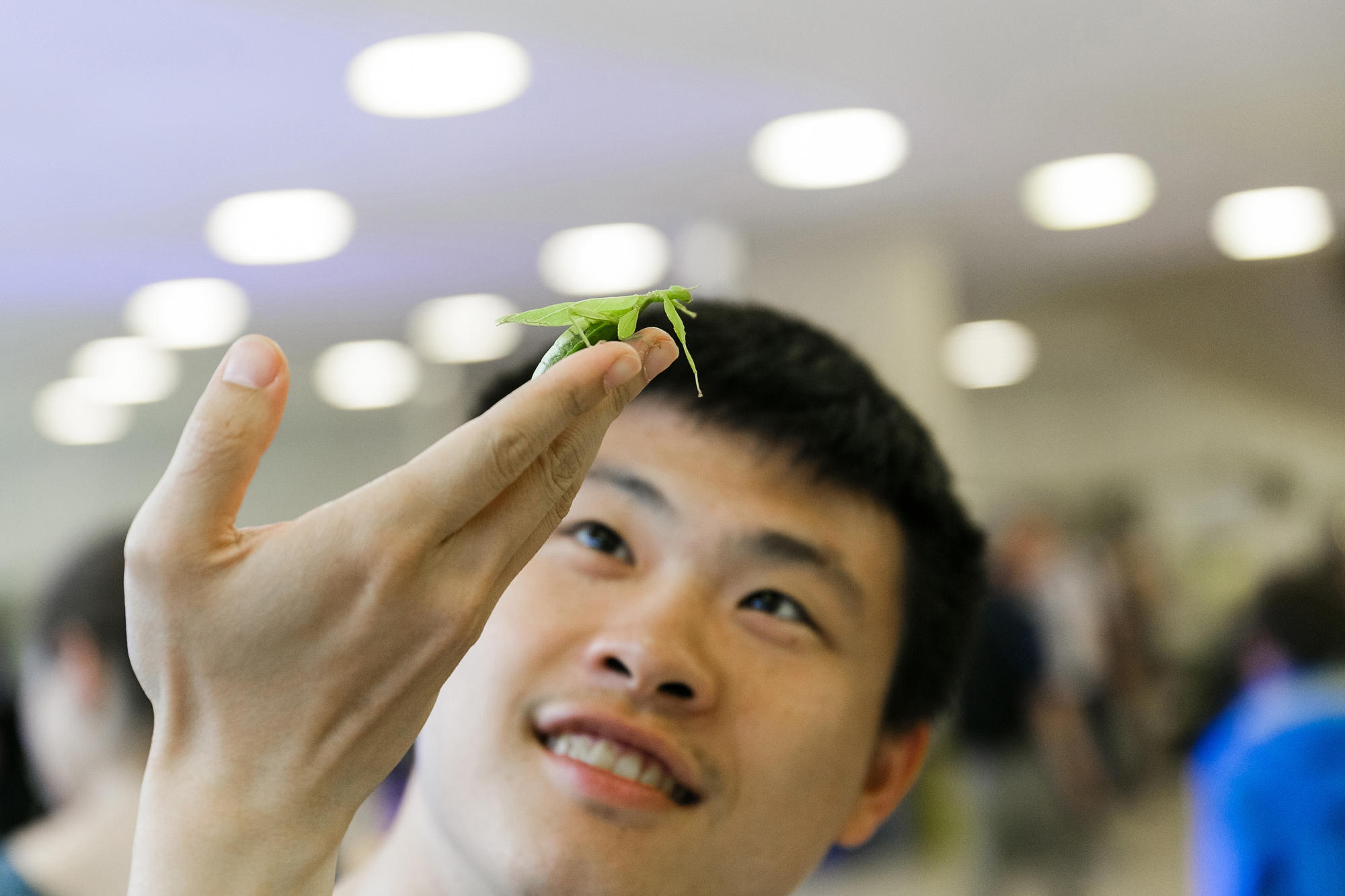 Lässt sich sehen: Biologinnen und Biologen zeigen, welche Vielfalt die Evolution hervorgebracht hat und wie Menschen von der Natur lernen können.