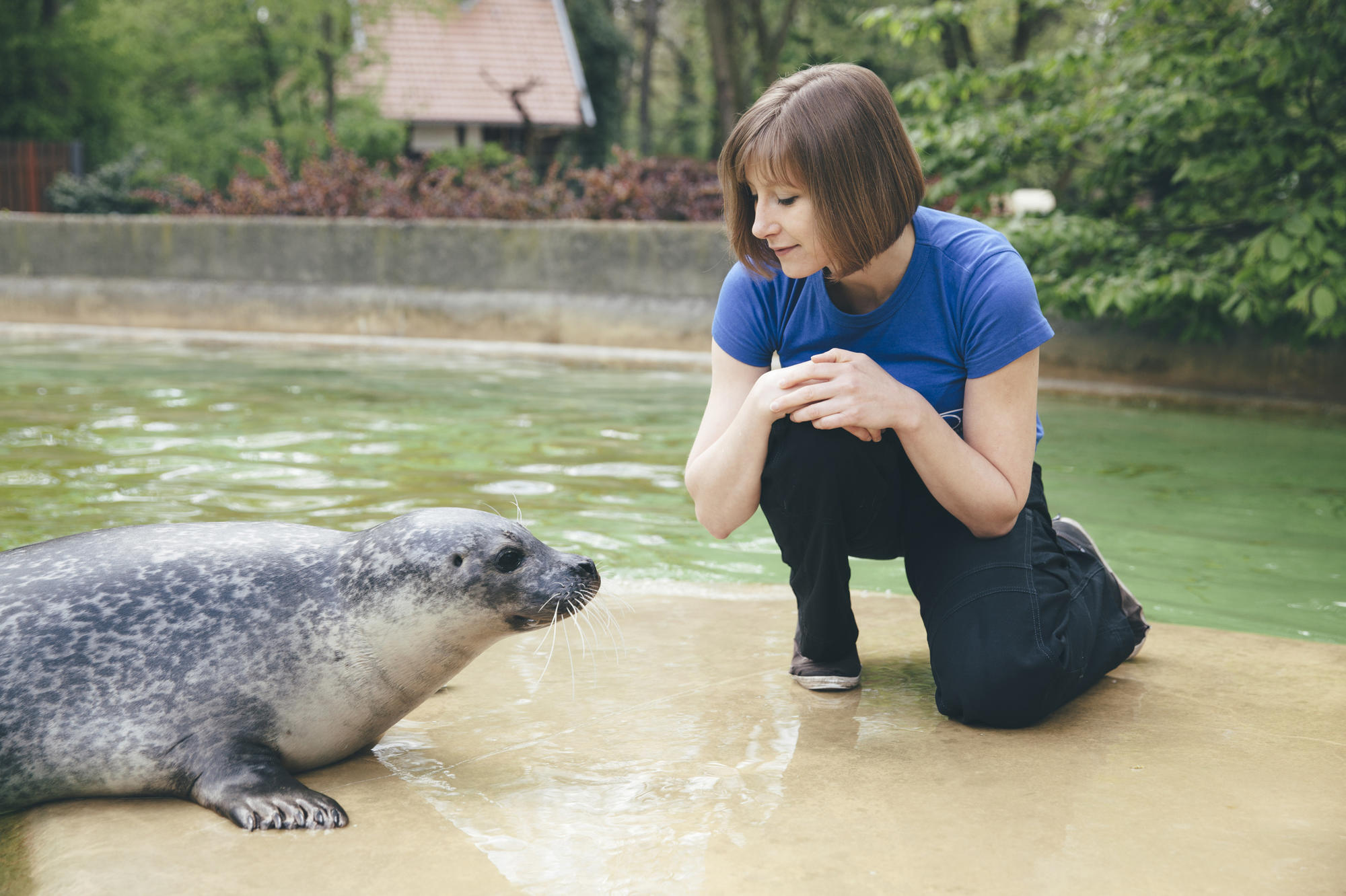 Miriam Stach und ihr Forschungsobjekt: die Robbe.