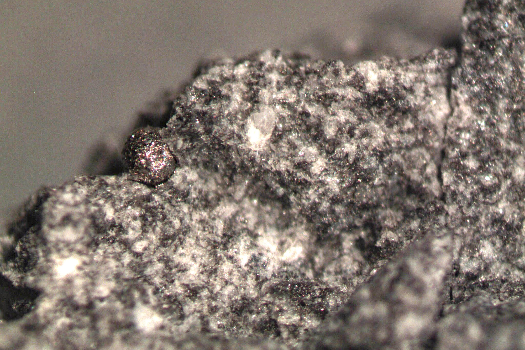 Die winzige Kugel aus Eisenmetall, die Forscher der Freien Universität aus dem Mondgestein freipräpariert haben, widerlegt Theorien, nach denen es die Mondlandung nie gegeben hat.