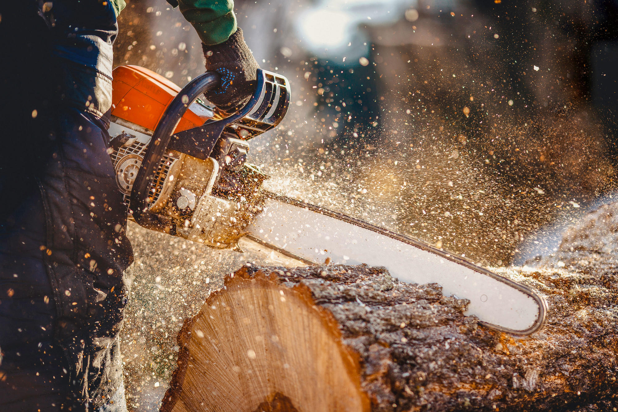 Mehr als Holzabfall: Sägespäne etwa könnten wertvolle Rohstoffe für die Industrie liefern.