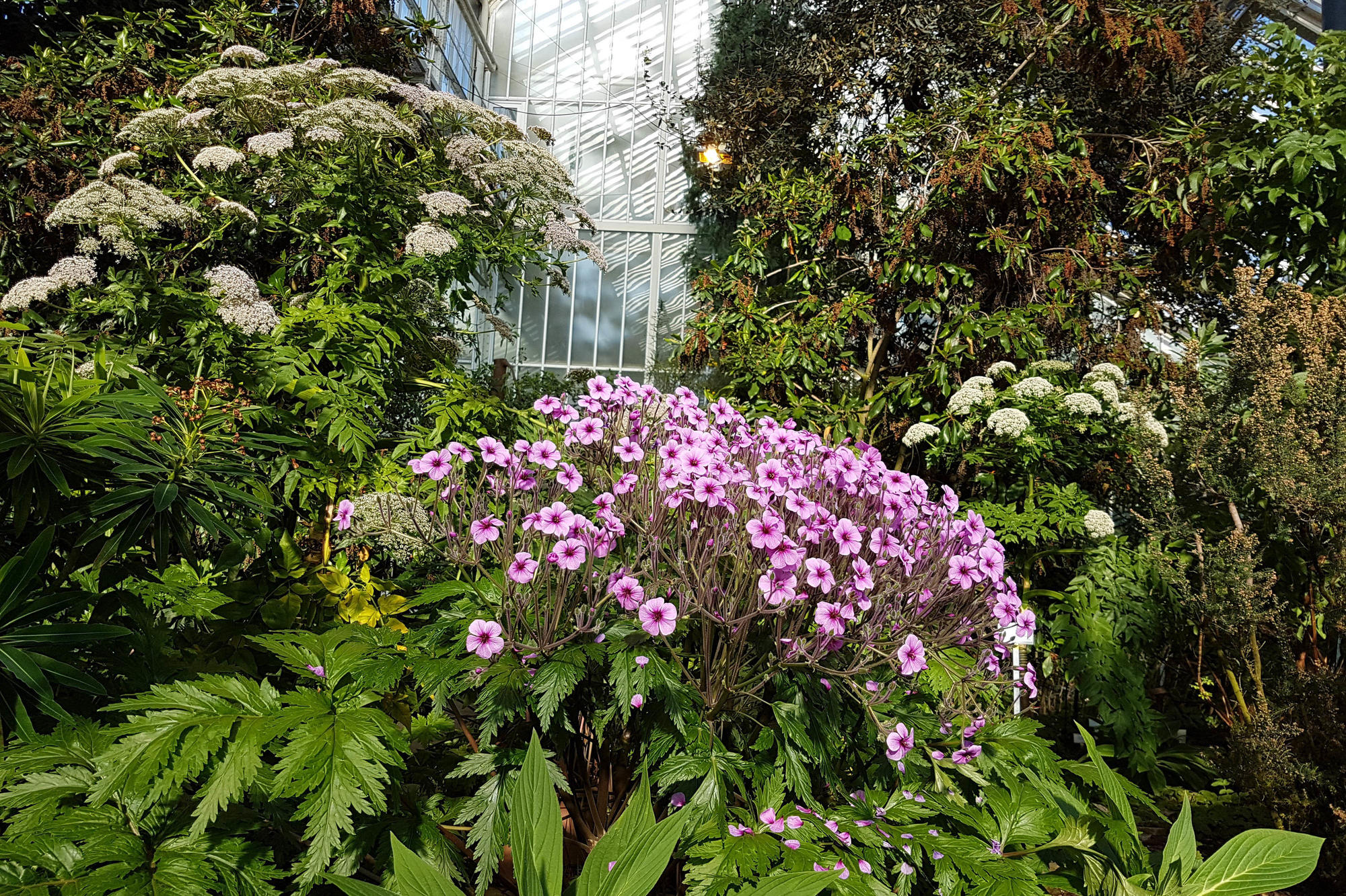 Auch die Pflanzen im Botanischen Garten müssen im Notbetrieb gepflegt werden.