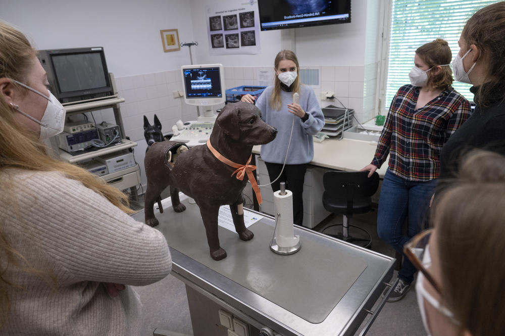 Geduldig und zuverlässig. Mit dem Geburtssimulator Gyndog üben die Studierenden den Ultraschall, eine Kommilitonin coacht. An dem Modell können Studierende den kompletten Geburtsvorgang nachvollziehen.