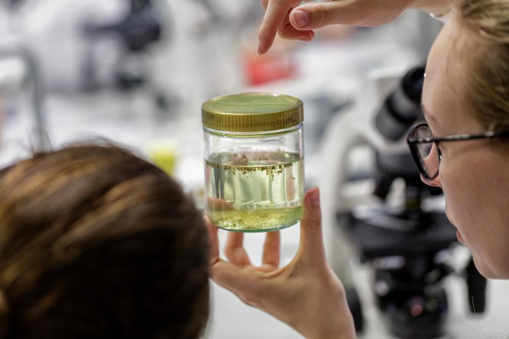 An der Freien Universität Berlin ist im Dezember 2020 eine neue Satzung zur guten wissenschaftlichen Praxis in Kraft getreten.