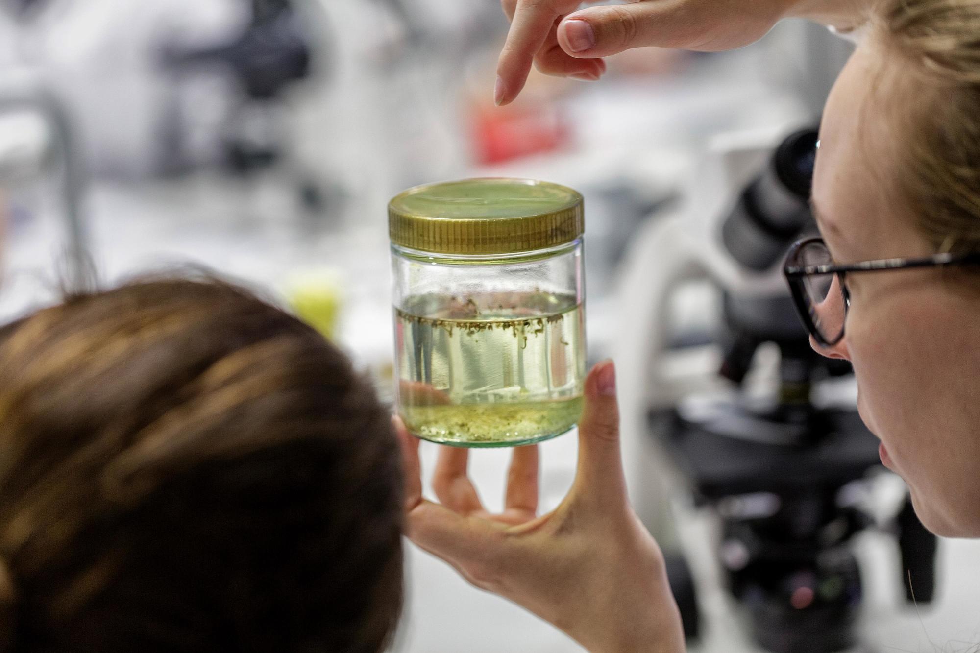 An der Freien Universität Berlin ist im Dezember 2020 eine neue Satzung zur guten wissenschaftlichen Praxis in Kraft getreten.