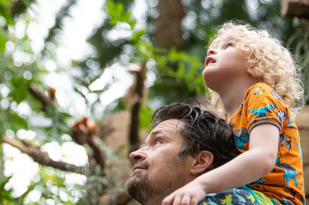 Jeden Tag verschwinden Schätzungen zufolge rund 130 Tier- und Planzenarten von der Erde. Wissenschaftlerinnen undWissenschaftler des Botanischen Gartens setzen dem Artensterben mit verschiedenen Projekten etwas entgegen.
