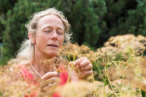 Elke Zippel will für einen Großteil der im Nordosten und Osten Deutschlands vorkommenden Pflanzenarten Samen in die Dahlemer Saatgutbank einlagern.