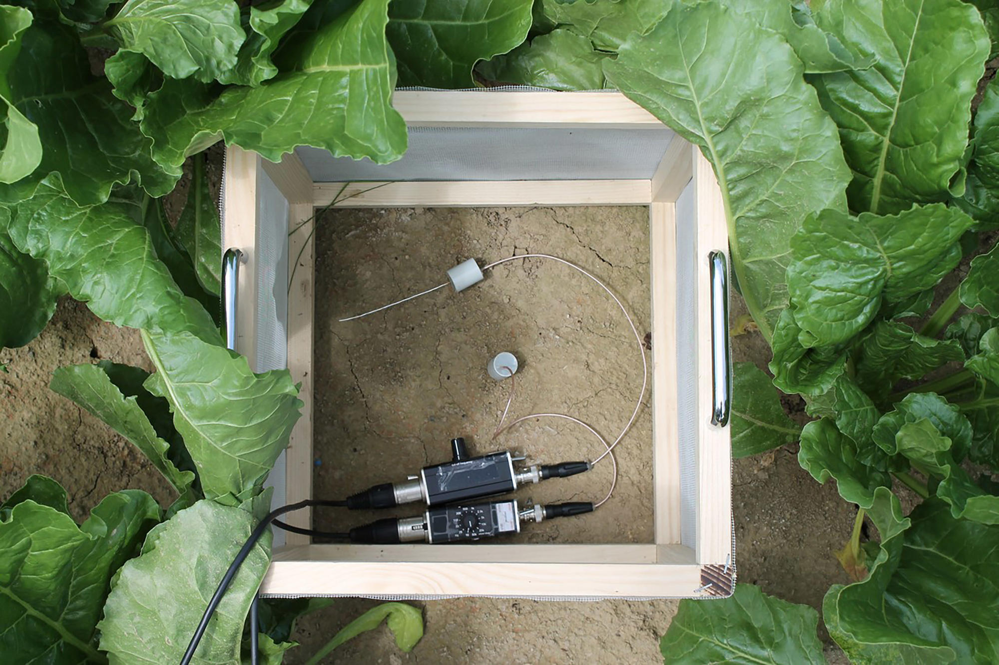 Sonde für Aufnahme von Bodengeraeuschen in einem Kasten auf dem Boden von oben