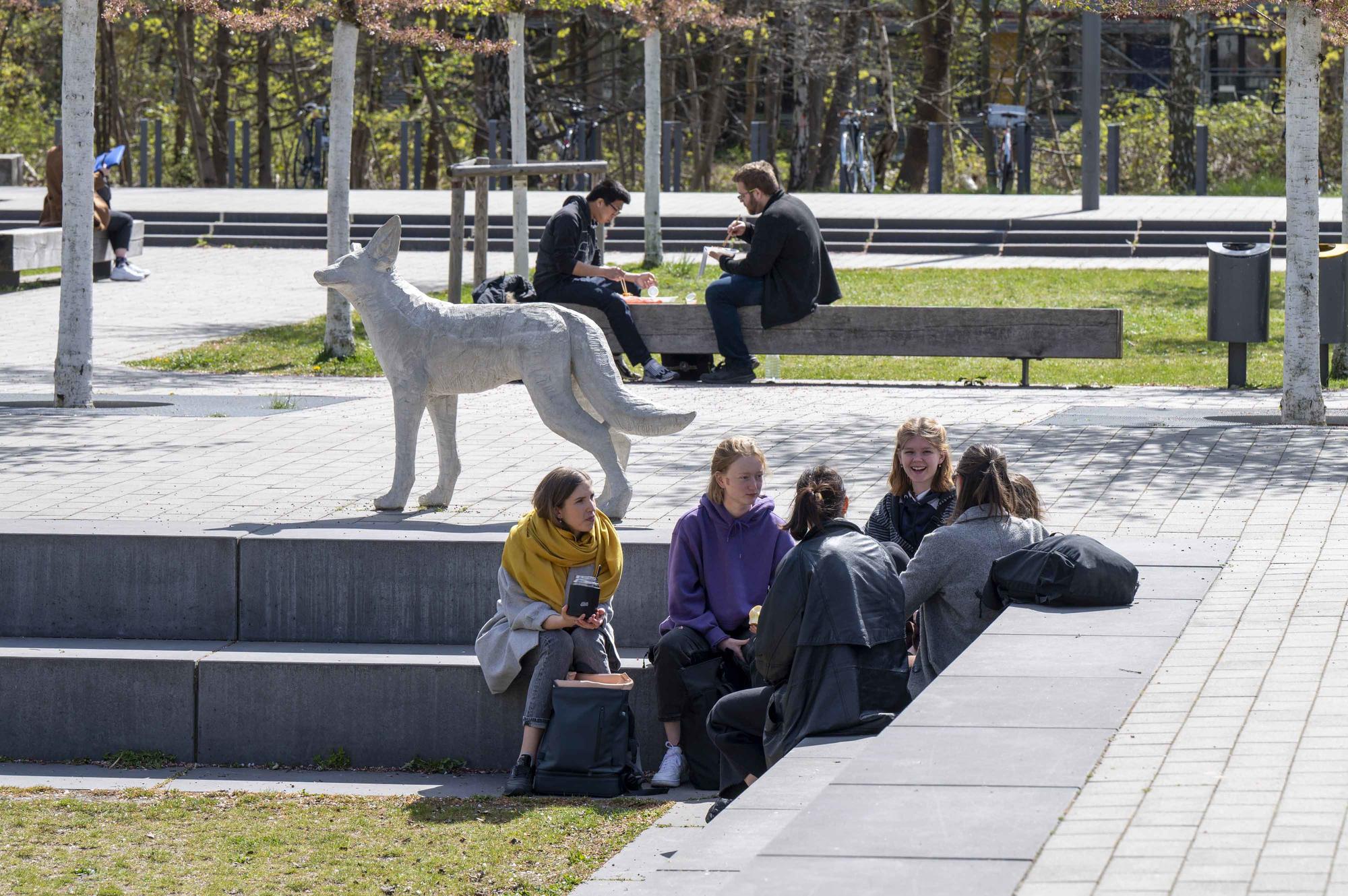 Die Skulptur des Kojoten ist Teil des Kunstwerks „Tricksters Plan“ des Künstlers Robert Patz.