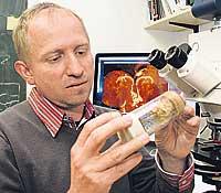 Bei Licht betrachtet. Mit seinem neuen Mikroskop sieht Stephan Sigrist, was im Gehirn der Larven vor sich geht.