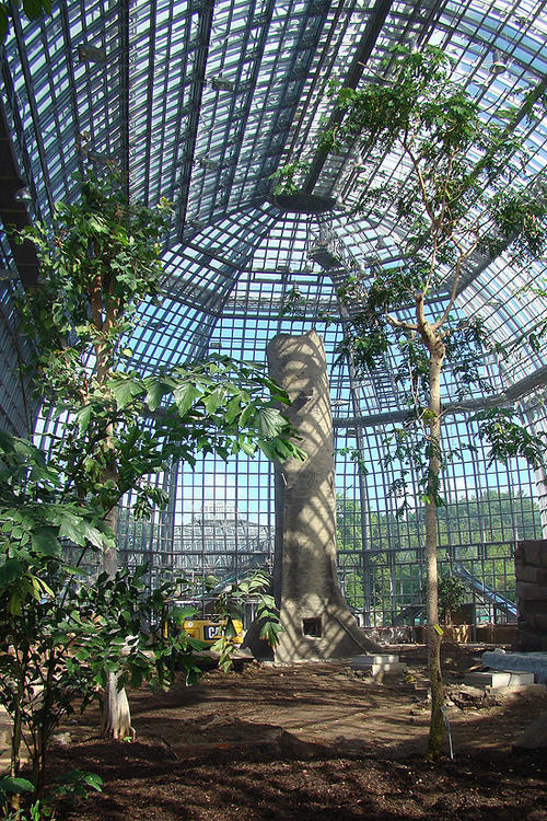 Platz zum Wachsen: 26,5 Meter sind es bis zur Decke des Kuppelbaus. Die Höhe reicht sogar für den Riesenbambus.