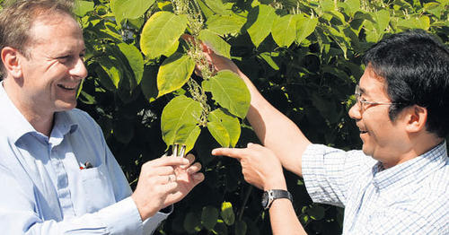 Wollen die Photosynthese der Algen zur Produktion erneuerbarer Energien nutzen: Profes- sor Joachim Heberle (links) und sein japanischer Kollege Kenichi Ataka.