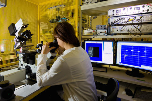 Im Exzellenzcluster NeuroCure arbeiten Wissenschaftler aus verschiedenen neurowissenschaftlichen Disziplinen zusammen, um neuste Erkenntnisse aus der Grundlagenforschung in klinisches Handeln zu übertragen.