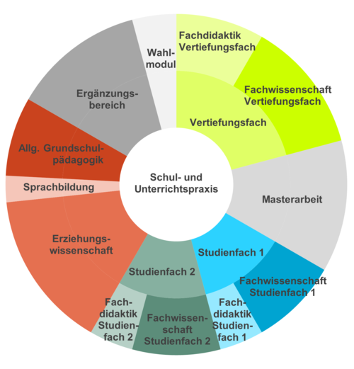 Studiengangsbestandteile im Master für das Lehramt an Grundschulen