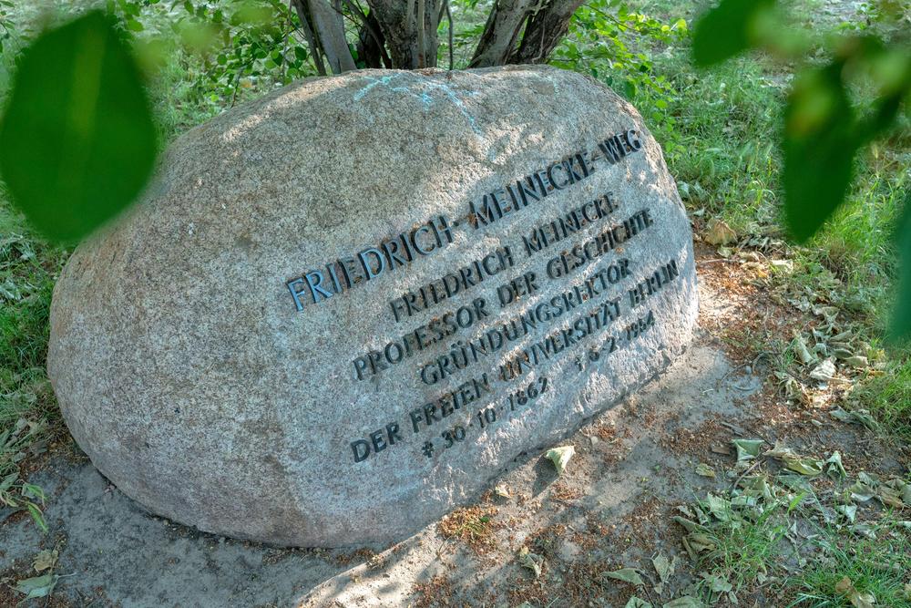 Aus Mitteln der Ernst-Reuter-Gesellschaft der Freunde, Förderer und Ehemaligen der Freien Universität konnte der Gedenkstein saniert werden.