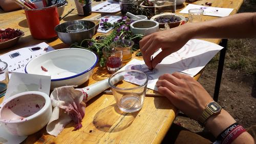 Langer Tag der Stadtnatur