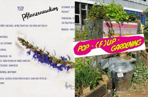 (Audio-)Pflanzenbiografien und PopFU-Gardening